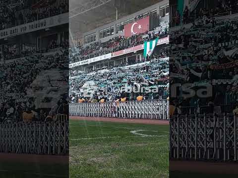 "Teksas'lıyız ezelden, eğilmez hiç başımız!" 📢🐊 #sporbursatr #bursaspor