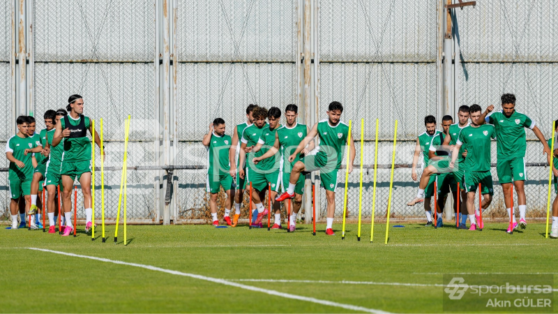 Timsah 37’ye çıkacak!
