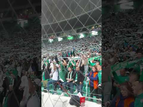 Hep beraber hep beraber BURSASPOR 🐊 #sporbursatr #bursaspor