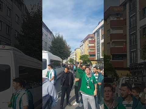 Gebze yeşil beyaz renklere büründü📢🐊 #sporbursatr #bursaspor