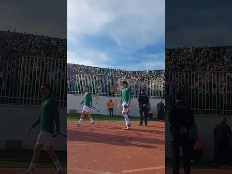 Timsah sahaya çıkıyor! 🐊#sporbursatr #bursaspor