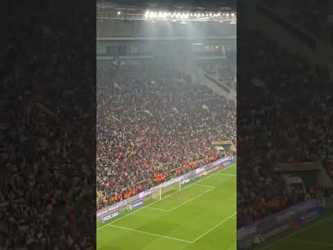 Tribünlerde muhteşem görüntüler.. 🇹🇷 #BizimÇocuklar #MilliTakım