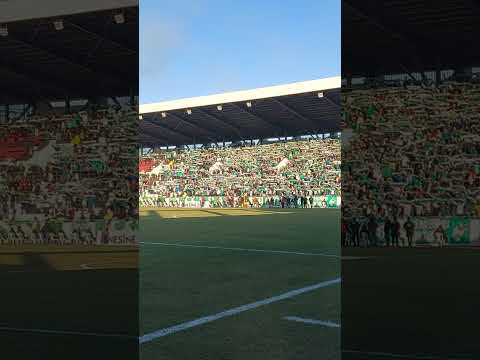 Teksas'tan 'Atkı Şov' 🐊📢 #bursaspor #sporbursatr