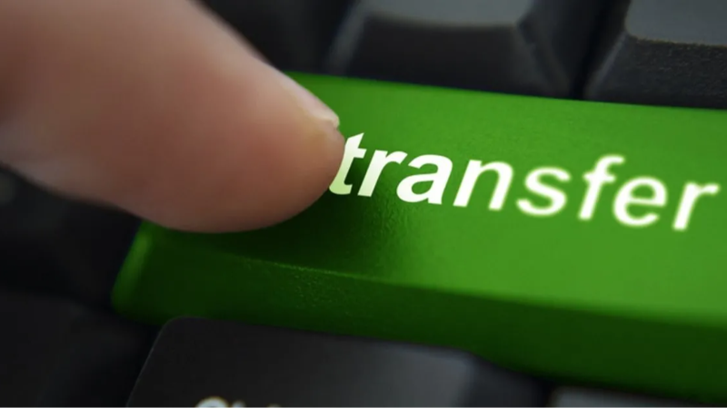 Bir Timsah'a daha Çağlayan'ın ekibi talip