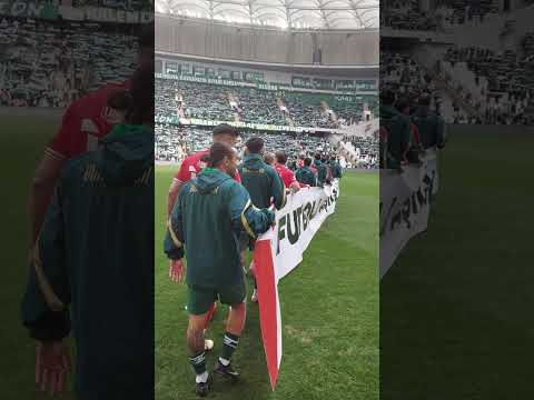 Timsah sahaya çıkıyor!🐊 #sporbursatr #bursaspor