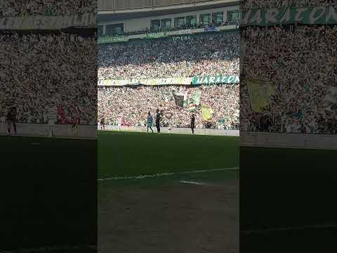 Oley Oley Oley! 📢🐊 #sporbursatr #bursaspor