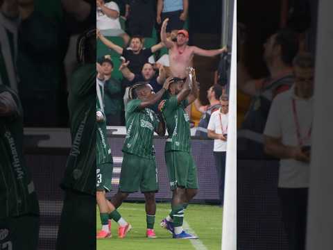 Bodrum FK-Bursaspor maçındaki Premium Hareket neydi ve kimden geldi? #bursaspor #sporbursatr #futbol