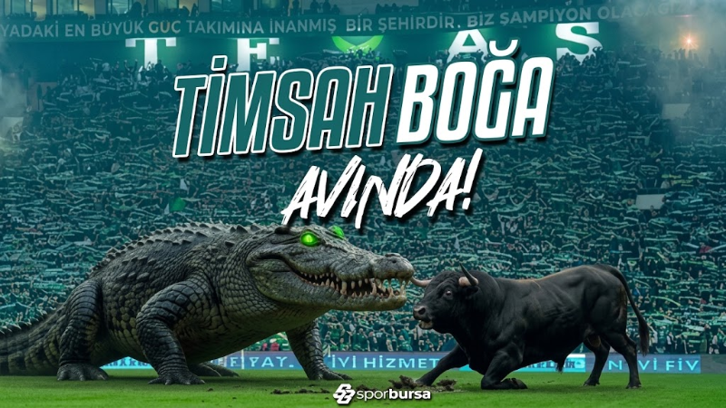 Timsah Boğa avında!